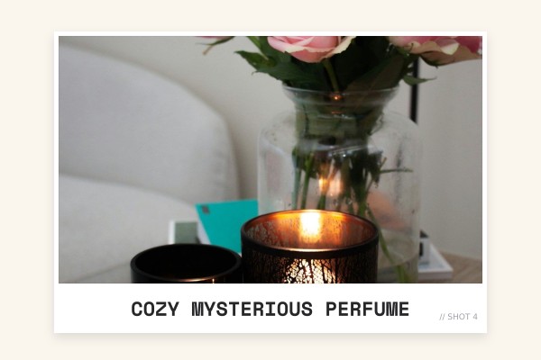 cozy mysterious perfume
