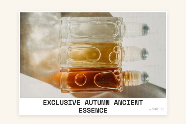 exclusive autumn ancient essence