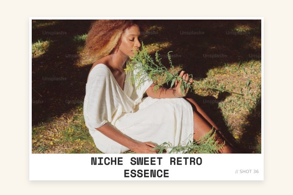 niche sweet retro essence